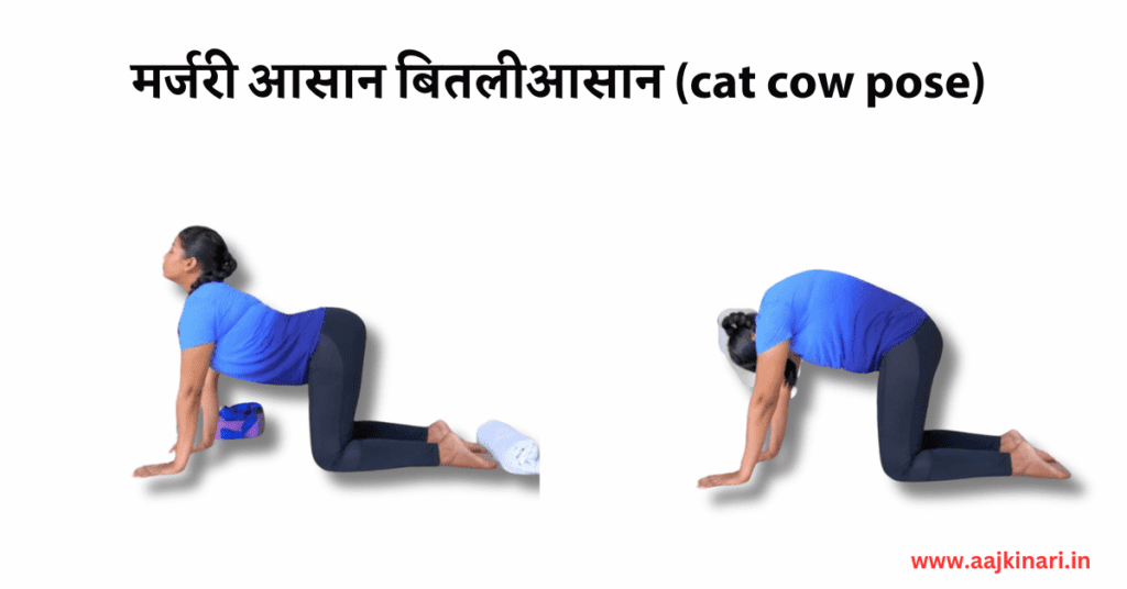 6. मर्जरी आसान बितलीआसान (cat cow pose) image